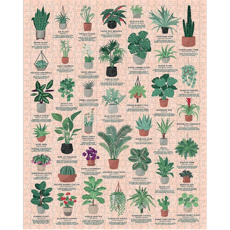 1024x1024 1000 piece ridleys jigsaw puzzle house plants completed