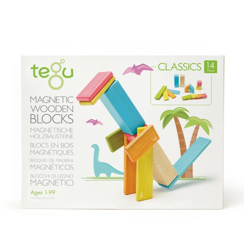 magnetic wooden blocks 14pc set tegu