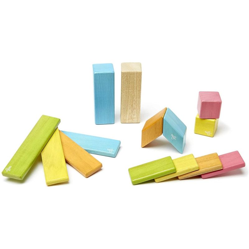 magnetic wooden blocks 14pc set tegu tegu tints 4