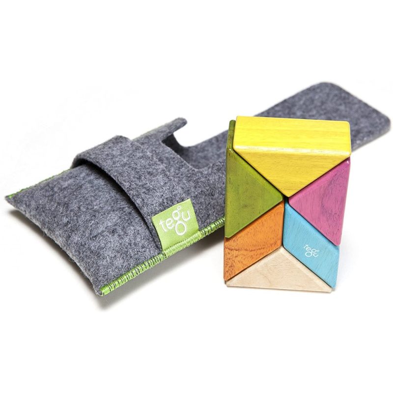 magnetic wooden pocket pouch prism tegu tegu tints