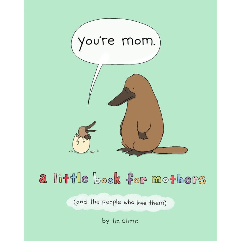 youre mom flatiron books